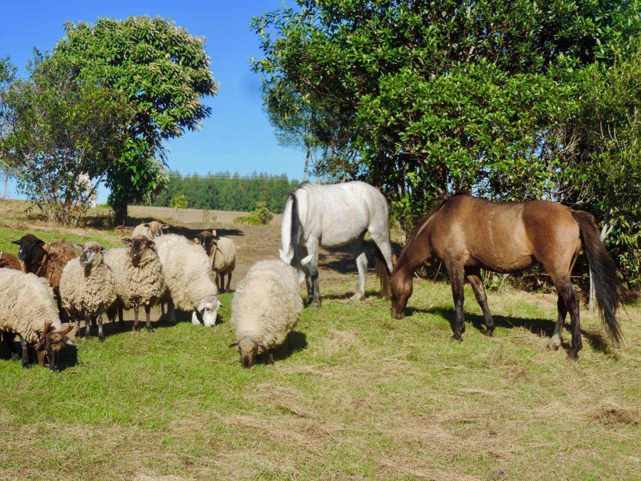 Pousada Aguaraguazu Tibagi Esterno foto