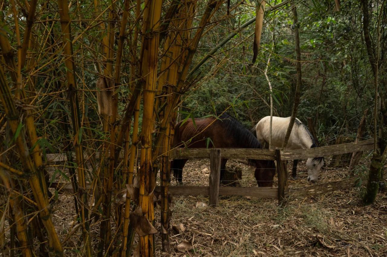 Pousada Aguaraguazu Tibagi Esterno foto